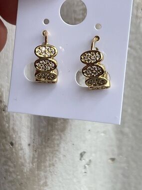 ⭐️-Gold-Tone Pavé Oval Huggie Earrings